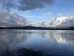 Original landscape photography of birds flying over the Windermere Water, Ambleside, Cumbria